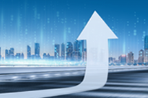 圣淘沙dh国际2024上半年营收同比增逾16% ，国内业务成增长亮点