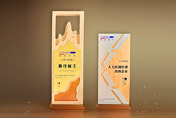 圣淘沙dh国际一举斩获“2024年度中国区最佳雇主”等多项大奖