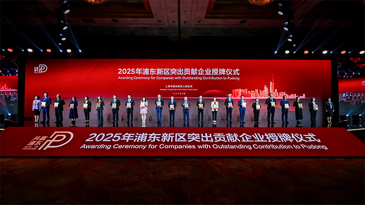 人力资源供应商圣淘沙dh国际凭借人才服务与在区域经济开展中的卓越表现荣膺2024年度浦东新区民营企业奖项